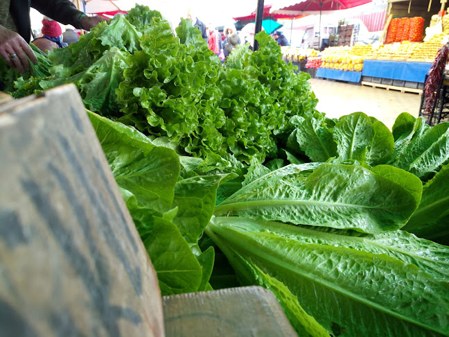 Pelitli, 61010 Trabzon Merkez/Trabzon, Türkiye