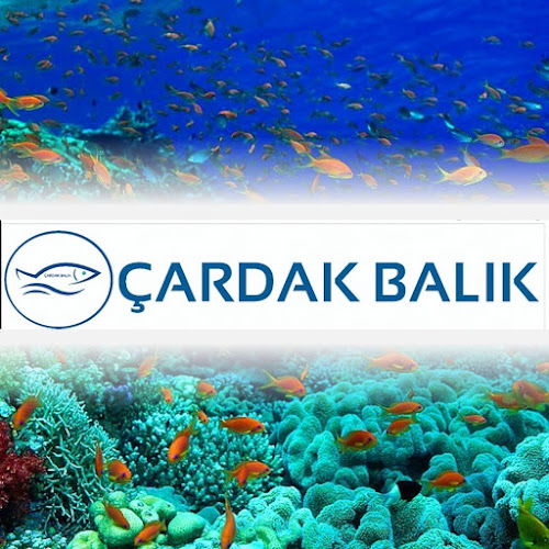 Çardak Balık Restaurant