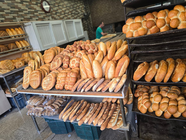 Opinii despre Suat Ekmekçilik în Adana - Gastronomi ve konaklama