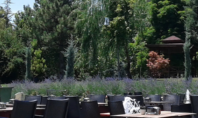 Kafem Evliya Çelebi