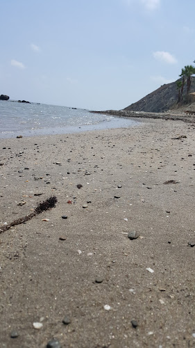 Comentarii opinii despre Alexsander's Balık Evi