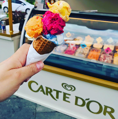 Carte d’Or Gelateria Mix Point