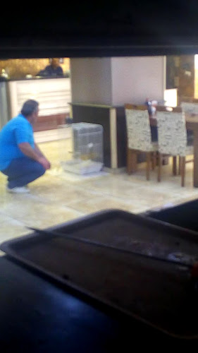 Comentarii opinii despre Adanalı