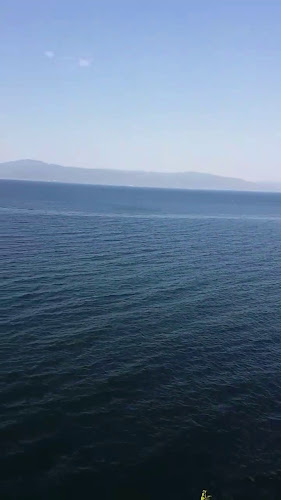 Falez Cafe - Gastronomi ve konaklama