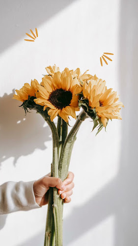 Comentarii opinii despre Neff Cafe Nargile