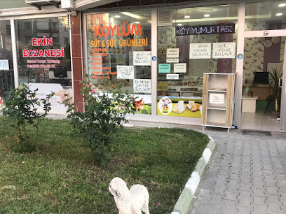 Köylüm süt ve süt ürünleri