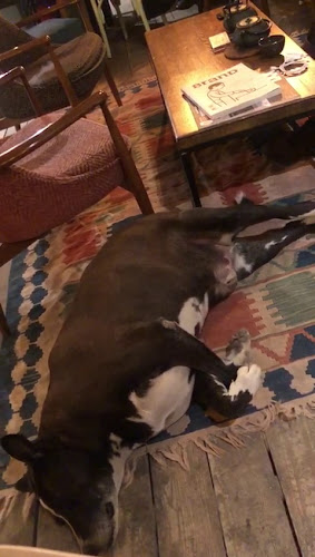 Hey Joe Coffee Co. - Tepebaşı