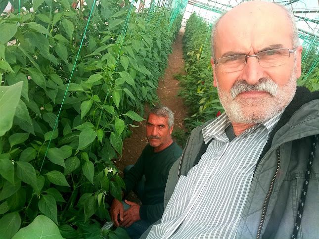 Rose Garden Kır Bahçesi - Antakya
