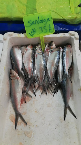 Comentarii opinii despre Van Gölü Balıkçılık