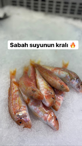 KALKAN BALIKÇILIK (KAŞ ŞUBESİ) SİNCE99 - Gastronomi ve konaklama