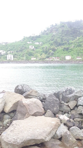 Comentarii opinii despre Civra Balik Restaurant