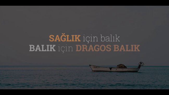 Dragos Balık - Gastronomi ve konaklama