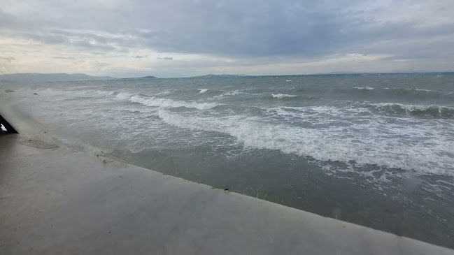 Zeytin Cafe & Restaurant Urla - Gastronomi ve konaklama