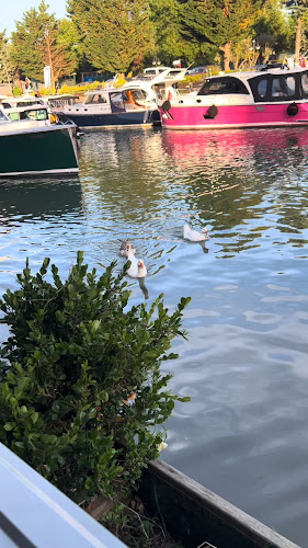 Comentarii opinii despre LOTUS coffee