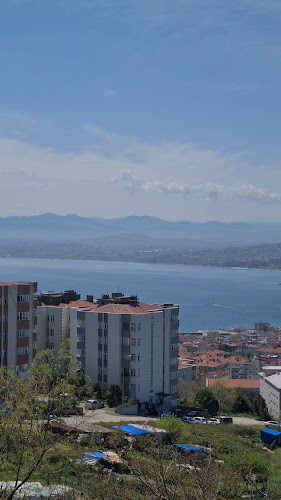 Ada, 57000 Sinop Merkez/Sinop