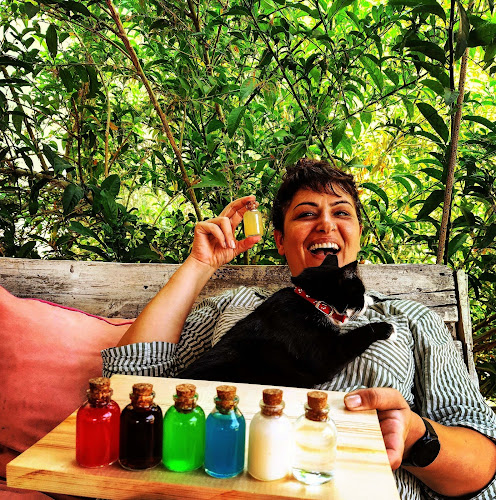 The Shotlar Terminali - Gastronomi ve konaklama