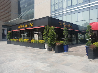 The North Shield Diyarbakır