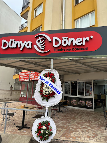 DÜNYA DÖNER YENİGÜN