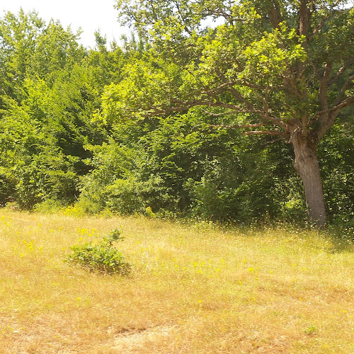 Opinii despre Artaş Lokantası în Çifteler - Gastronomi ve konaklama