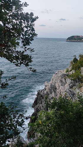Zonguldak Tabip Odası Lokali