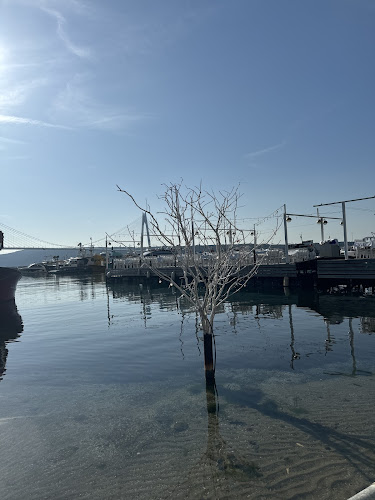 Comentarii opinii despre Poyraz Sahil Balık Restaurant