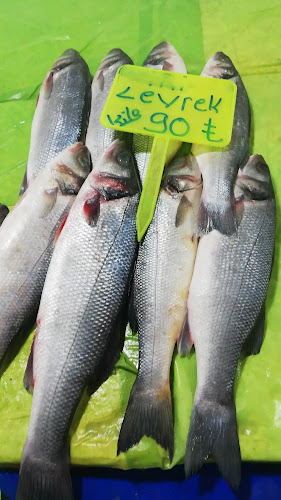 Van Gölü Balıkçılık - İpekyolu