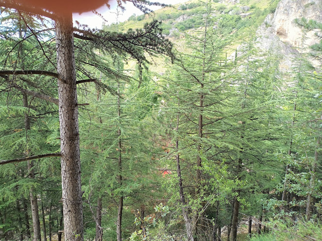 Comentarii opinii despre Yukarı Dere