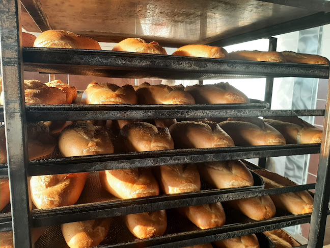 Opinii despre Suat Ekmekçilik în Adana - Gastronomi ve konaklama