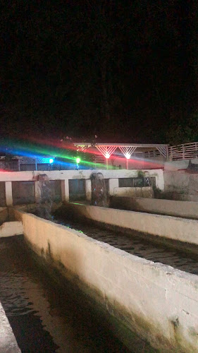 Gökküşağı Balık - Korgan