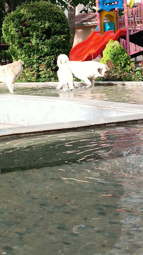 Opinii despre Kafem Evliya Çelebi în Konya - Gastronomi ve konaklama