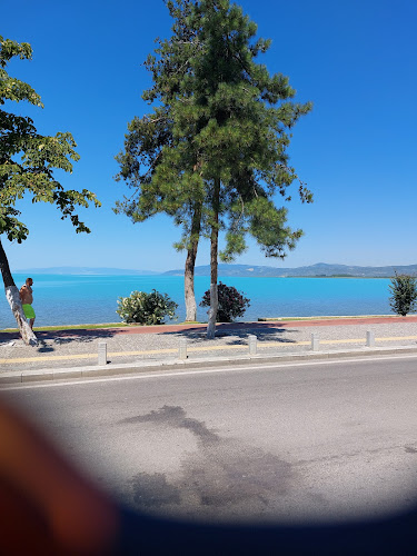 Cafe Sade - Gastronomi ve konaklama