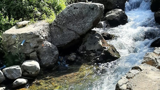 Gülyazıköyü canlı alabalık ve piknik alanı