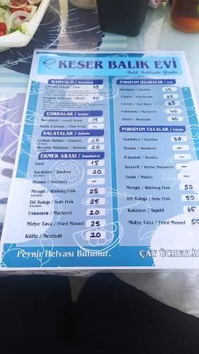 Opinii despre Keser Balık Evi în Kilidülbahir/Eceabat - Gastronomi ve konaklama