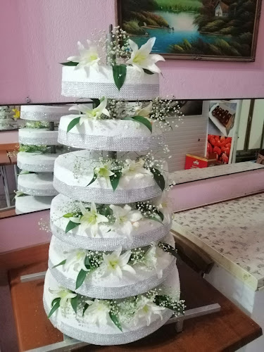 Comentarii opinii despre Toros Pastanesi