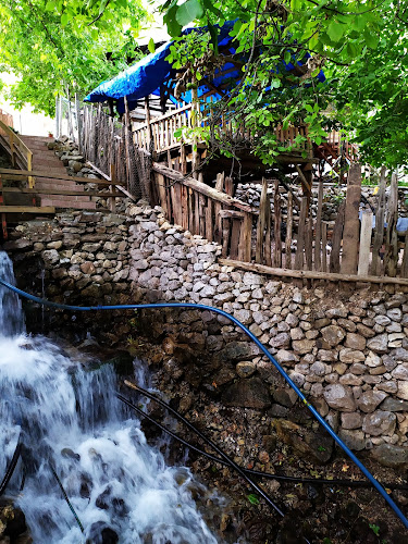 Opinii despre Muhtarın yeri şahin restoran çardak masa kiralama în Kayseri - Gastronomi ve konaklama