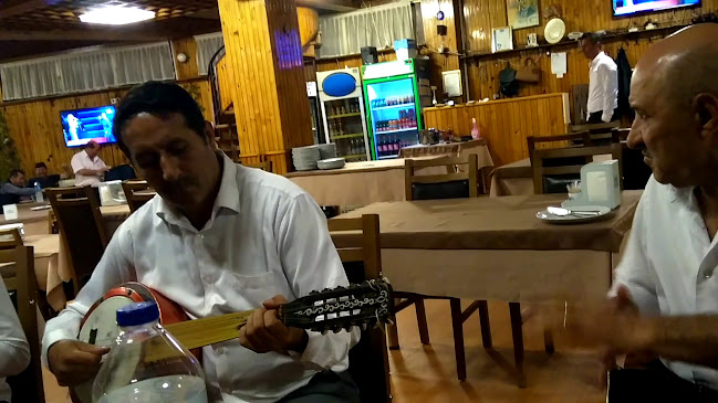 Opinii despre Mandıra Köprübaşı Restaurant în Büyükmandıra/Babaeski - Gastronomi ve konaklama