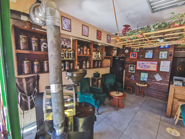 Umurça, Artemis Cd. No:33, 48400 Bodrum/Muğla, Türkiye