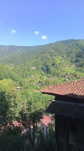 Opinii despre კაფე ბორჩხა în İbrikli/Borçka - Gastronomi ve konaklama