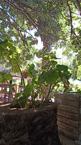 Opinii despre Rüzgar Cafe Datça în Datça - Gastronomi ve konaklama