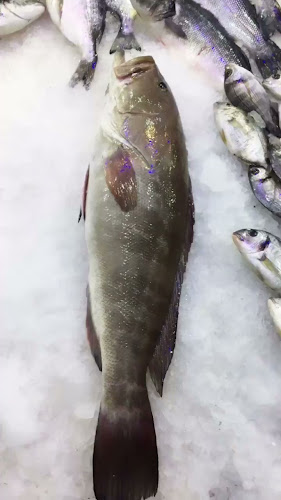 Murat Balıkçılık Side - Gastronomi ve konaklama