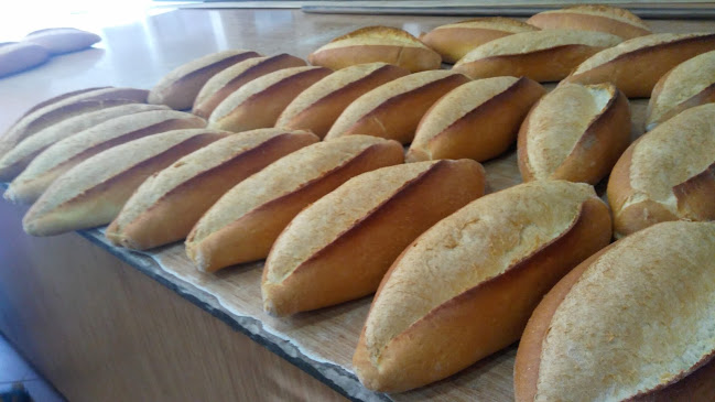 Comentarii opinii despre Bereket Fırını