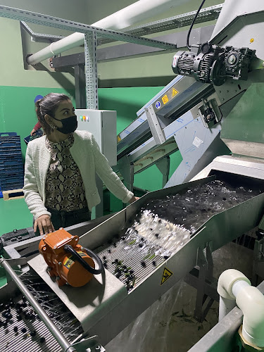 Opinii despre Efekızı zeytin ve zeytinyağı în Milas - Gastronomi ve konaklama