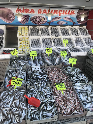 Opinii despre Mira Balıkçılık Restoran/Balık Pazarı. în Tokat Merkez - Gastronomi ve konaklama