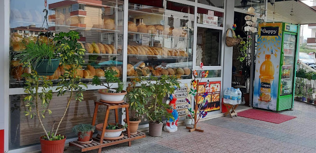 Comentarii opinii despre YILDIZ EKMEK PİDE VE LAHMACUN