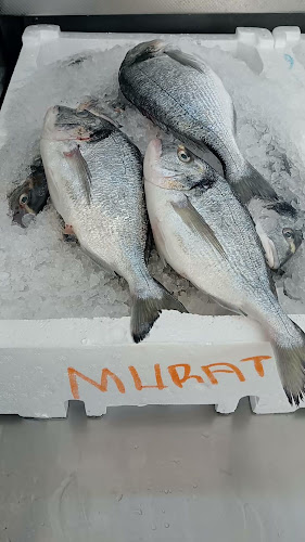 Opinii despre Murat Balıkçılık Side în Side Bld/Manavgat - Gastronomi ve konaklama