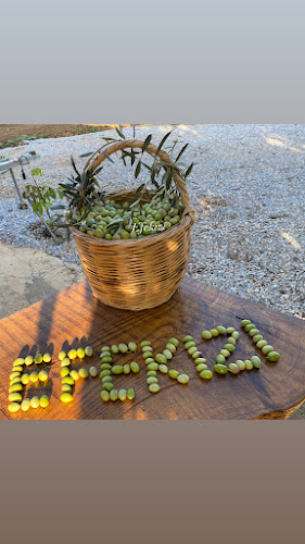 Cumhuriyet, Güneş Sk., 48200 Milas/Muğla, Türkiye