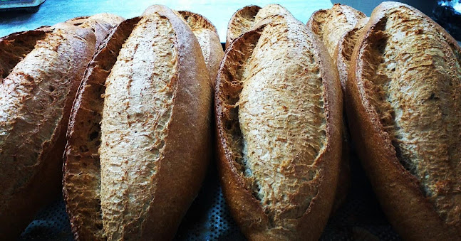 Comentarii opinii despre Suat Ekmekçilik