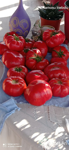 Salçacı Hasan Karacabey - Gastronomi ve konaklama