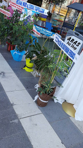 Hacı Hasanlı, Atatürk Blv. 113/B, 68100 Aksaray Merkez/Aksaray