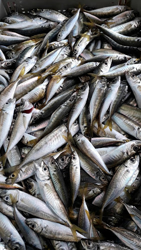 Battı Balık restorant - Gastronomi ve konaklama